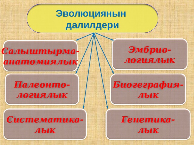 Эволюциянын далилдери Эмбрио- логиялык Салыштырма- анатомиялык Биогеграфия- лык Палеонто- логиялык Систематика- лык Генетика- лык 