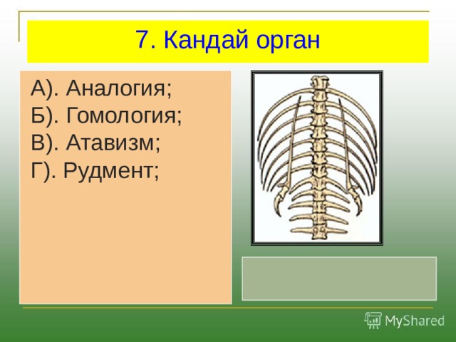 7. Кандай орган  А). Аналогия;  Б). Гомология;  В). Атавизм;  Г). Рудмент; 