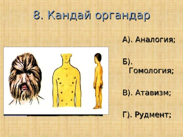 8. Кандай органдар А). Аналогия; Б). Гомология; В). Атавизм; Г). Рудмент; 