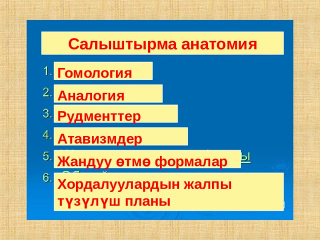 Салыштырма анатомия Гомология Аналогия Рудменттер Атавизмдер Жандуу өтмө формалар Хордалуулардын жалпы түзүлүш планы 