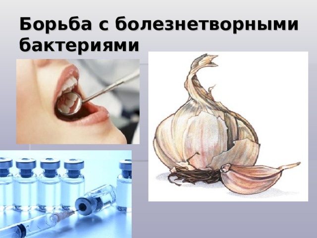 Борьба с болезнетворными бактериями 