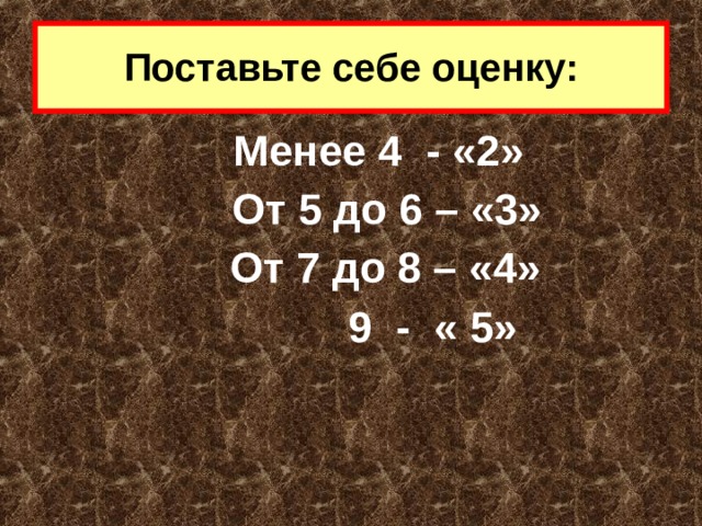 Поставьте себе оценку:  Менее 4 - «2»    От 5 до 6 – «3»     От 7 до 8 – «4»       9 - « 5» 