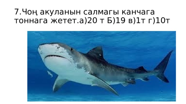 7.Чоң акуланын салмагы канчага тоннага жетет.а)20 т Б)19 в)1т г)10т 