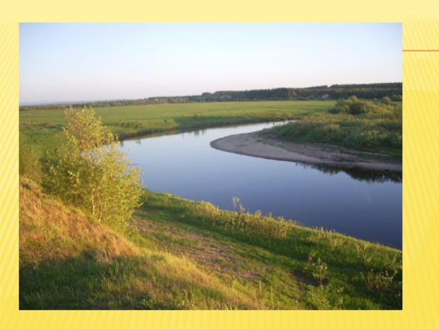 Тема пензенский край. Сурский край Пензенская область. Сурский край Пенза. Поверхность Пензенского края. Мир природы Пензенского края.