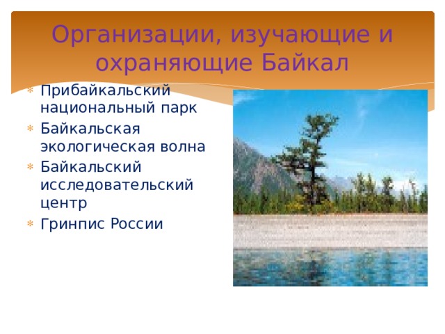 Организации, изучающие и охраняющие Байкал Прибайкальский национальный парк Байкальская экологическая волна Байкальский исследовательский центр Гринпис России 