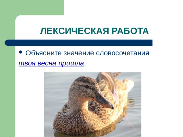ЛЕКСИЧЕСКАЯ РАБОТА Объясните значение словосочетания твоя весна пришла . 