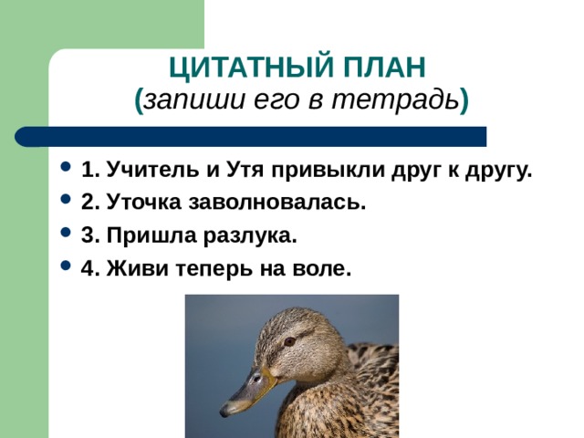ЦИТАТНЫЙ ПЛАН  ( запиши его в тетрадь ) 1. Учитель и Утя привыкли друг к другу. 2. Уточка заволновалась. 3. Пришла разлука. 4. Живи теперь на воле. 