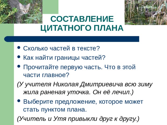 СОСТАВЛЕНИЕ ЦИТАТНОГО ПЛАНА Сколько частей в тексте? Как найти границы частей? Прочитайте первую часть. Что в этой части главное? (У учителя Николая Дмитриевича всю зиму жила раненая уточка. Он её лечил.) Выберите предложение, которое может стать пунктом плана. (Учитель и Утя привыкли друг к другу.) 