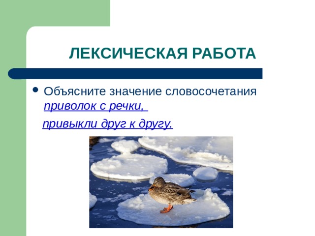 ЛЕКСИЧЕСКАЯ РАБОТА Объясните значение словосочетания приволок с речки,  привыкли друг к другу. 