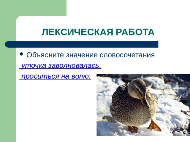 ЛЕКСИЧЕСКАЯ РАБОТА Объясните значение словосочетания  уточка заволновалась,  проситься на волю. 