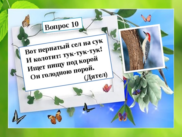  Вот пернатый сел на сук  И колотит: тук-тук-тук! Вопрос 10  Ищет пищу под корой  Он голодною порой.  (Дятел) 