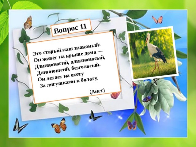   Это старый наш знакомый: Вопрос 11  Он живёт на крыше дома —  Длинноногий, длинноносый,  Длинношеий, безголосый.  Он летает на охоту  За лягушками к болоту.   (Аист) 