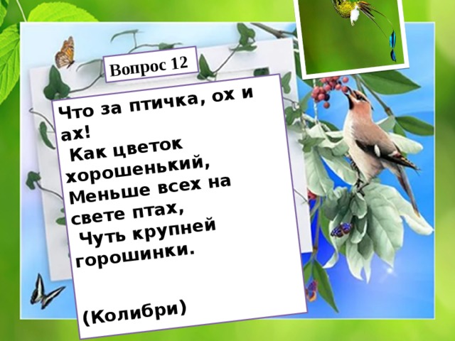 Что за птичка, ох и ах!  Как цветок хорошенький, Вопрос 12 Меньше всех на свете птах,  Чуть крупней горошинки.   (Колибри) 