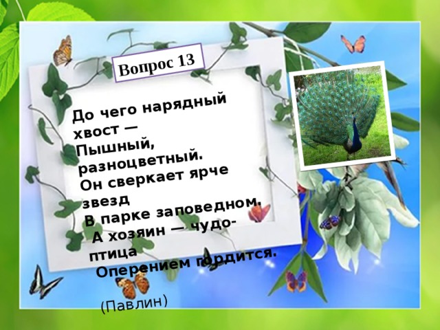 До чего нарядный хвост — Пышный, разноцветный. Вопрос 13 Он сверкает ярче звезд В парке заповедном.  А хозяин — чудо-птица  Оперением гордится.  (Павлин) 