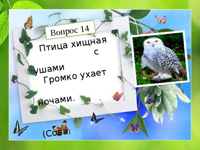  Птица хищная  с ушами  Вопрос 14  Громко ухает  ночами.  (Сова ) 