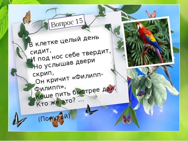 Вопрос 15 В клетке целый день сидит, И под нос себе твердит,  Но услышав двери скрип,  Он кричит «Филипп-Филипп», Кеше пить быстрее дай, Кто же это? …  (Попугай) 