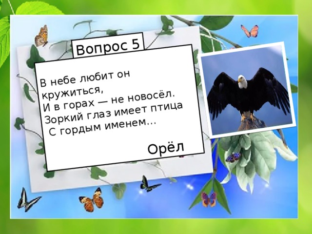 Вопрос 5 В небе любит он кружиться, И в горах — не новосёл. Зоркий глаз имеет птица  С гордым именем…  Орёл 