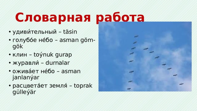 Словарная работа удиви́тельный – täsin голубо́е не́бо – asman göm-gök клин – toýnuk gurap журавли́ – durnalar ожива́ет не́бо – asman janlanýar расцвета́ет земля́ – toprak gülleýär 