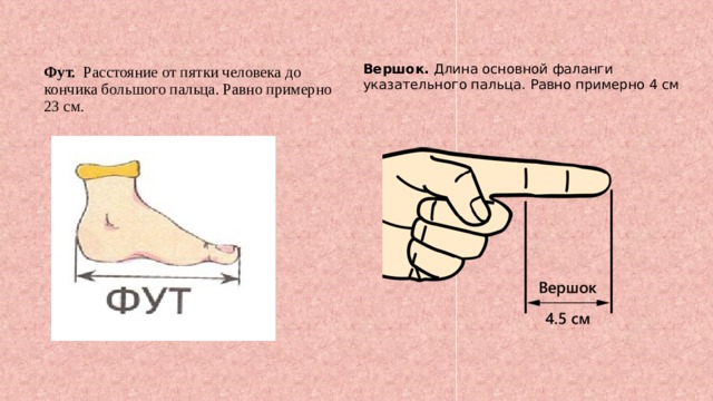 6 футов равно. От большого пальца до указательного. Фут мера длины. Длина фаланги большого пальца.