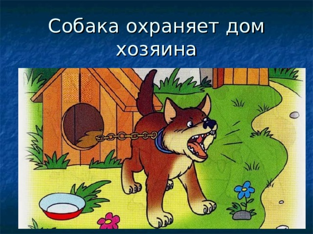 Собака на цепи рисунок