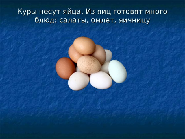 Куры несут яйца. Из яиц готовят много блюд: салаты, омлет, яичницу 