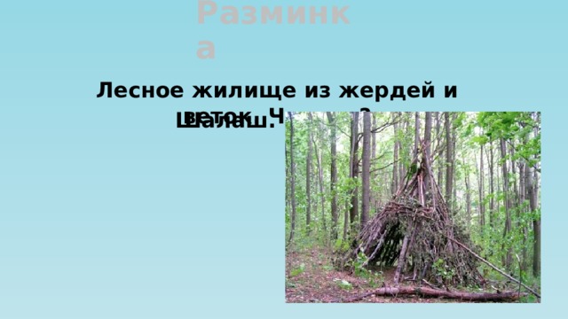 Разминка Лесное жилище из жердей и веток. Что это?  Шалаш. 