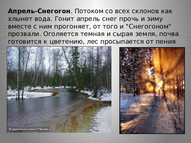 Апрель-Снегогон . Потоком со всех склонов как хлынет вода. Гонит апрель снег прочь и зиму вместе с ним прогоняет, от того и 