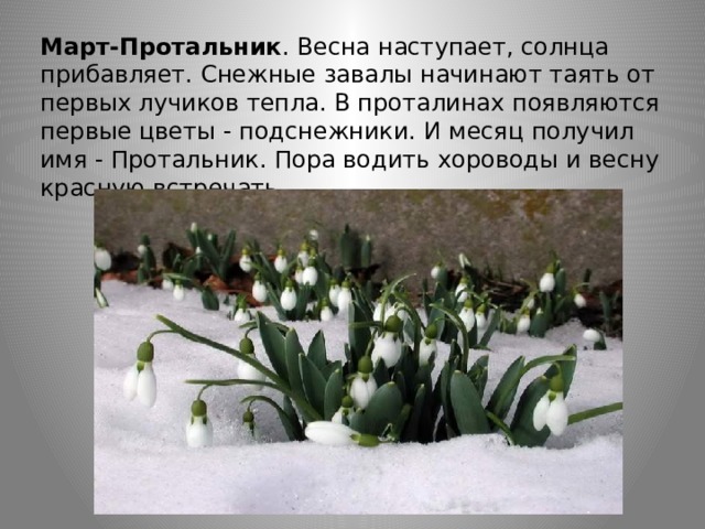 Март-Протальник . Весна наступает, солнца прибавляет. Снежные завалы начинают таять от первых лучиков тепла. В проталинах появляются первые цветы - подснежники. И месяц получил имя - Протальник. Пора водить хороводы и весну красную встречать. 