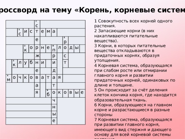 Вяжущее вещество сканворд. Кроссворд по теме корень 6 класс биология. Сканворд на тему корень.