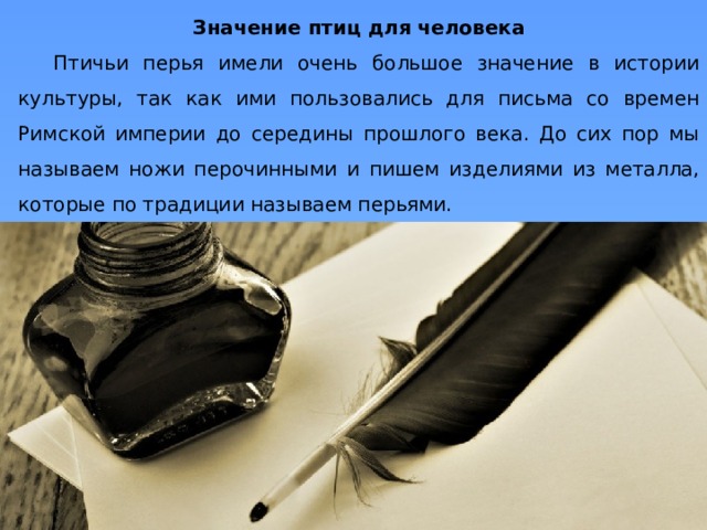 Значение птиц для человека Птичьи перья имели очень большое значение в истории культуры, так как ими пользовались для письма со времен Римской империи до середины прошлого века. До сих пор мы называем ножи перочинными и пишем изделиями из металла, которые по традиции называем перьями. 