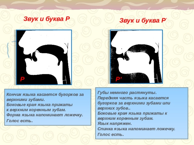 Звук и буква Р Звук и буква Р ’ Р Р’ Губы немного растянуты. Передняя часть языка касается бугорков за верхними зубами или верхних зубов.. Боковые края языка прижаты к верхним коренным зубам. Язык напряжен. Спинка языка напоминает ложечку. Голос есть . Кончик языка касается бугорков за верхними зубами. Боковые края языка прижаты к верхним коренным зубам. Форма языка напоминает ложечку. Голос есть .