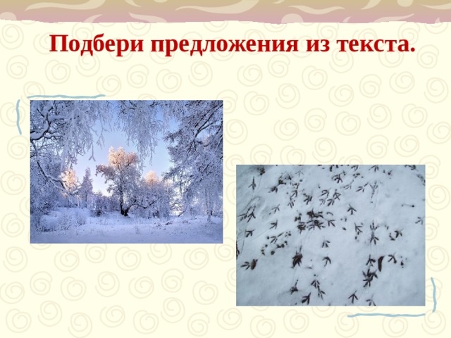 Подбери предложения из текста.
