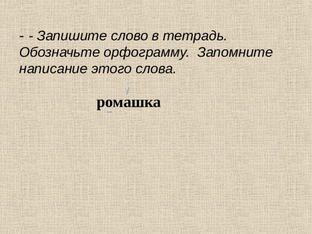 Роль прилагательных в тексте