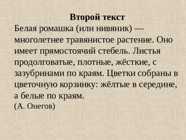 Роль прилагательных в тексте. Текст описание.