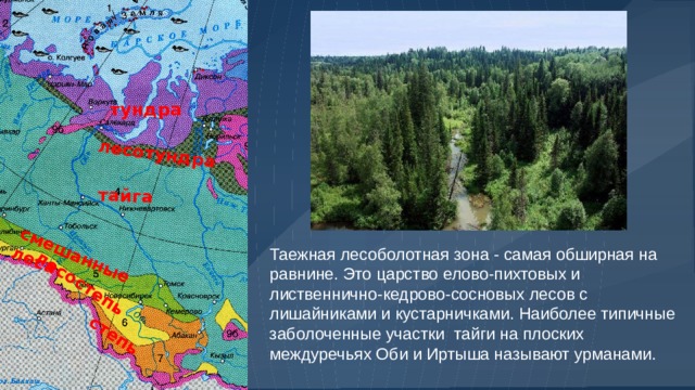 Дайте оценку природных ресурсов западно сибирской равнины. Лесоболотная зона Западной Сибири. Западно Сибирская лесостепь на карте.