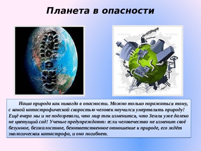 Легкие нашей планеты проект