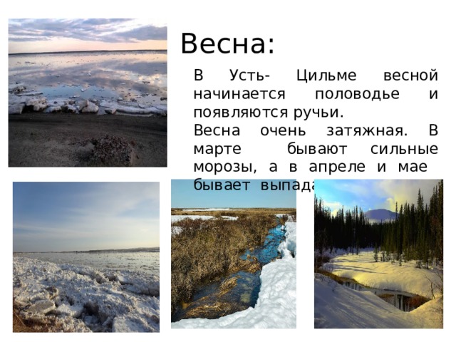 Весна: В Усть- Цильме весной начинается половодье и появляются ручьи. Весна очень затяжная. В марте бывают сильные морозы, а в апреле и мае бывает выпадает снег. 