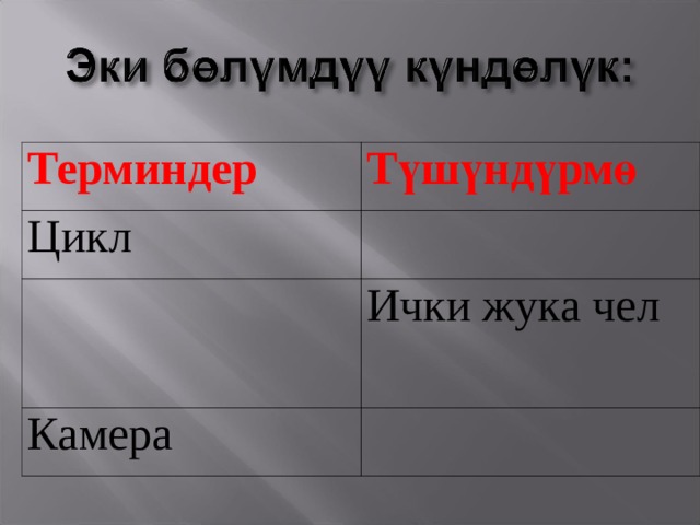 Терминдер Түшүндүрмө Цикл Ички жука чел Камера 