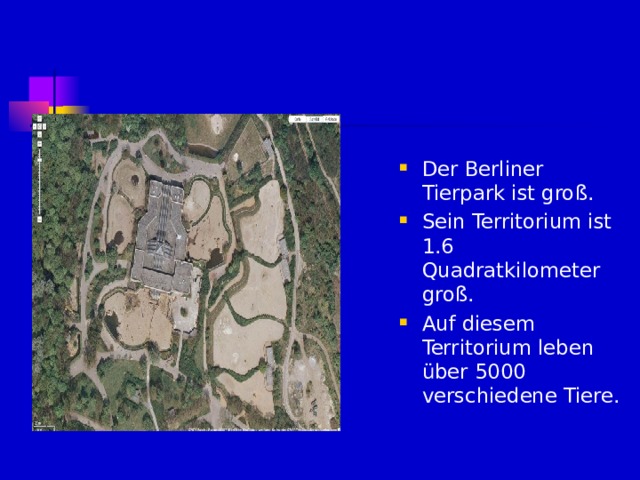 Der Berliner Tierpark ist gro ß. Sein Territorium ist 1.6 Quadratkilometer groß. Auf diesem Territorium leben über 5000 verschiedene Tiere. 