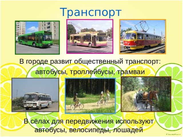 Транспорт В городе развит общественный транспорт: автобусы, троллейбусы, трамваи В сёлах для передвижения используют автобусы, велосипеды, лошадей 