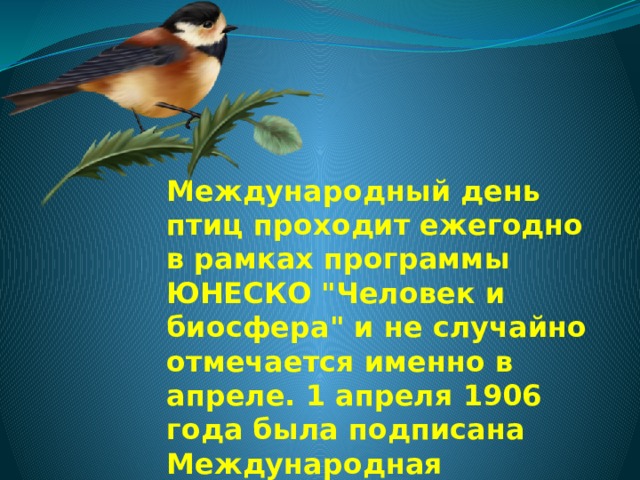 Международный день птиц проходит ежегодно в рамках программы ЮНЕСКО 