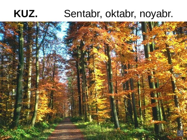 KUZ. Sentabr, oktabr, noyabr. 