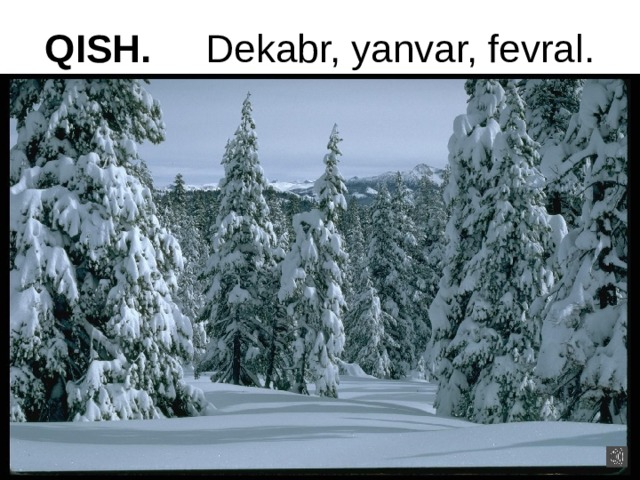 QISH. Dekabr, yanvar, fevral. 