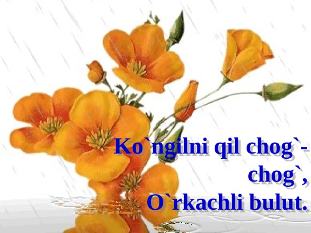 Ko`ngilni qil chog`-chog`, O`rkachli bulut. 