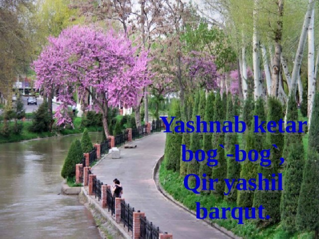 Yashnab ketar bog`-bog`, Qir yashil barqut. 