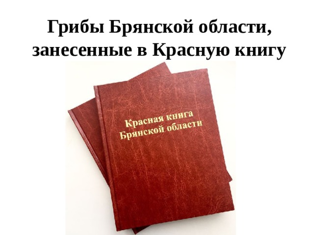 Проект на тему красная книга брянской области