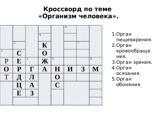 Влияние кроссвордов на человека. Кроссворд на тему органы человека.