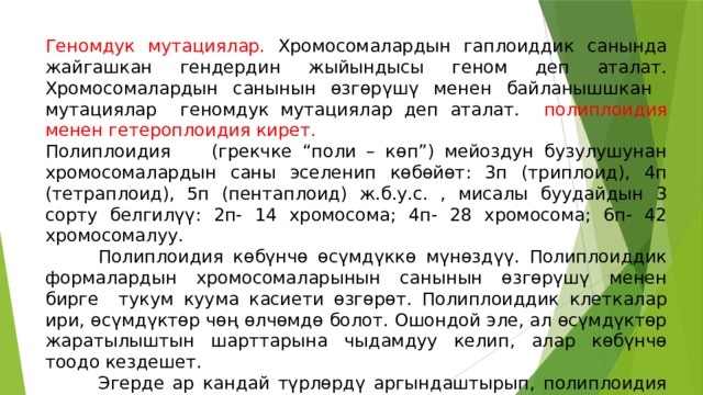 Геномдук мутациялар. Хромосомалардын гаплоиддик санында жайгашкан гендердин жыйындысы геном деп аталат. Хромосомалардын санынын өзгөрүшү менен байланышшкан мутациялар геномдук мутациялар деп аталат. полиплоидия менен гетероплоидия кирет. Полиплоидия (грекчке “поли – көп”) мейоздун бузулушунан хромосомалардын саны эселенип көбөйөт: 3п (триплоид), 4п (тетраплоид), 5п (пентаплоид) ж.б.у.с. , мисалы буудайдын 3 сорту белгилүү: 2п- 14 хромосома; 4п- 28 хромосома; 6п- 42 хромосомалуу.   Полиплоидия көбүнчө өсүмдүккө мүнөздүү. Полиплоиддик формалардын хромосомаларынын санынын өзгөрүшү менен бирге тукум куума касиети өзгөрөт. Полиплоиддик клеткалар ири, өсүмдүктөр чөң өлчөмдө болот. Ошондой эле, ал өсүмдүктөр жаратылыштын шарттарына чыдамдуу келип, алар көбүнчө тоодо кездешет.   Эгерде ар кандай түрлөрдү аргындаштырып, полиплоидия алынса – аллополиплоидия деп аталат. Мисалы, Г.Д. Карпеченко туруп менен капустанын 36 хромосомалуу полиплоиддик гибридин алган. 