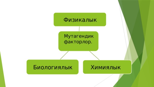 Физикалык Мутагендик факторлор. Биологиялык Химиялык 