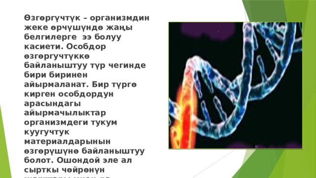 Өзгөргүчтүк – организмдин жеке өрчүшүндө жаңы белгилерге ээ болуу касиети. Особдор өзгөргучтүккө байланыштуу түр чегинде бири биринен айырмаланат. Бир түргө кирген особдордун арасындагы айырмачылыктар организмдеги тукум куугучтук материалдарынын өзгөрүшүнө байланыштуу болот. Ошондой эле ал сырткы чөйрөнүн шарттары мнен да аныкталат. Ушул себептерден өзгөргучтүк төмөнкүдөй түрлөргө бөлунөт. 
